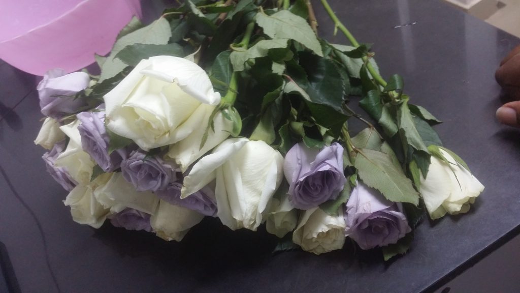 how to keep flowers fresh-Flowers in Kenya-Kenyan flowers-Kenyan roses-Keep flowers at home-african Kaya-Kenyan top food blogger-Top Blogger Kenya-African Food blogger-African best food blogger.