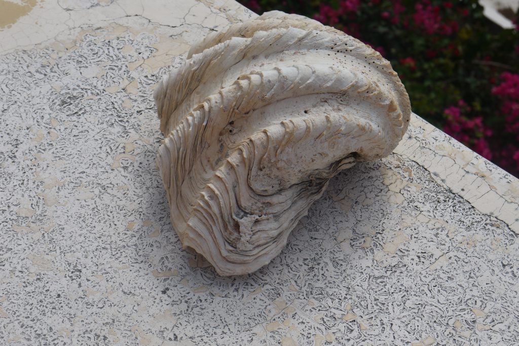 Lamu-Lamu sunset-Kenyan coast-Lamu-Lamu beaches-Kenyan to food blog-Kenya top lifestyle blog-Top lifestyle blog-Top african food blog -Wangeci Wandere