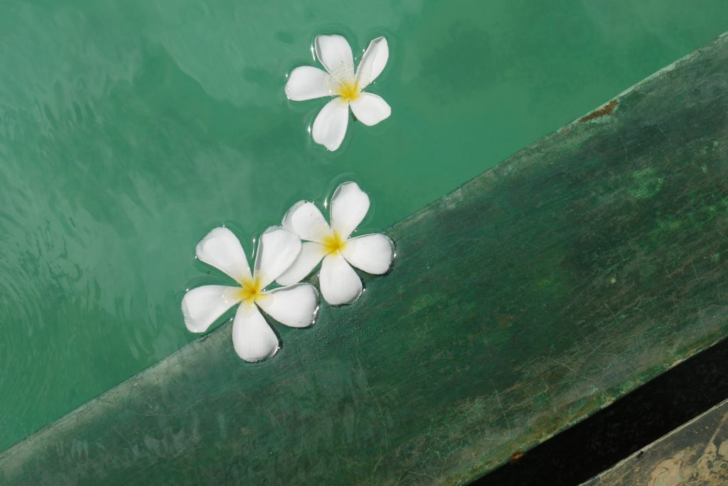 Lamu-Lamu sunset-Kenyan coast-Lamu-Lamu beaches-Kenyan to food blog-Kenya top lifestyle blog-Top lifestyle blog-Top african food blog - African Kaya